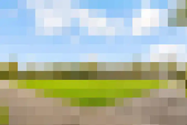 Marco Pololaan 313 Utrecht thumbnail 30