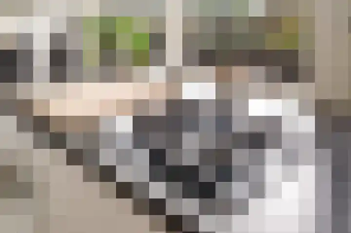 Marco Pololaan 313 Utrecht thumbnail 9