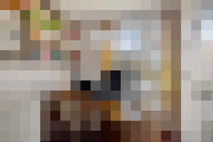 Marco Pololaan 340 Utrecht thumbnail 18