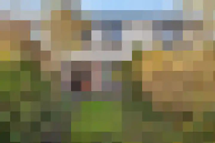 Marco Pololaan 340 Utrecht thumbnail 22