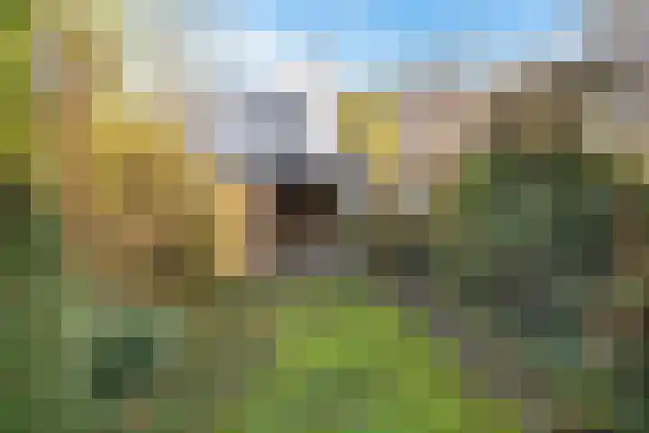 Marco Pololaan 340 Utrecht thumbnail 23