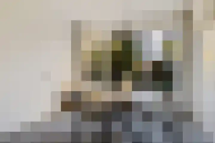 Marco Pololaan 340 Utrecht thumbnail 6