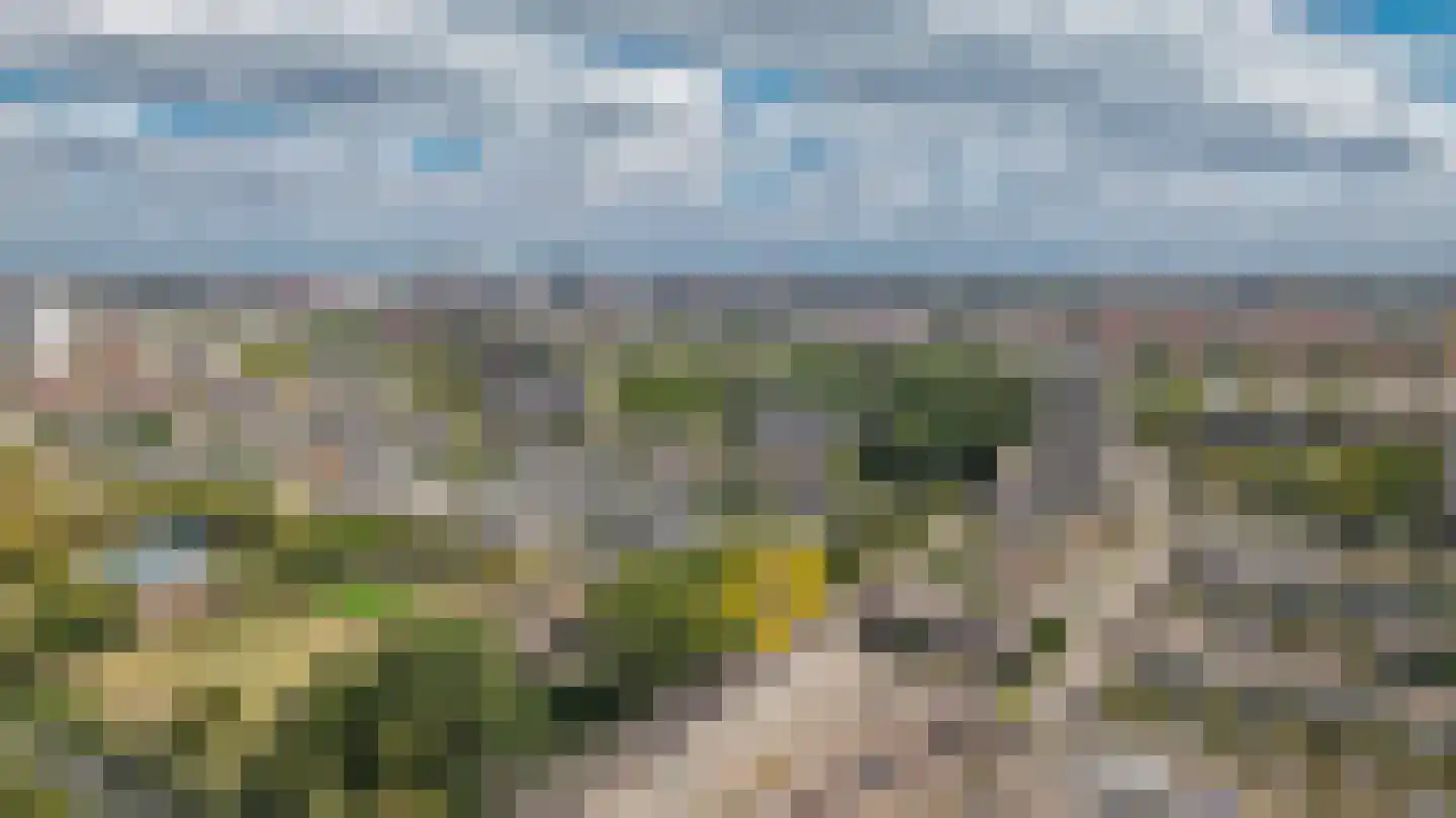 Marco Pololaan 341 Utrecht thumbnail 33