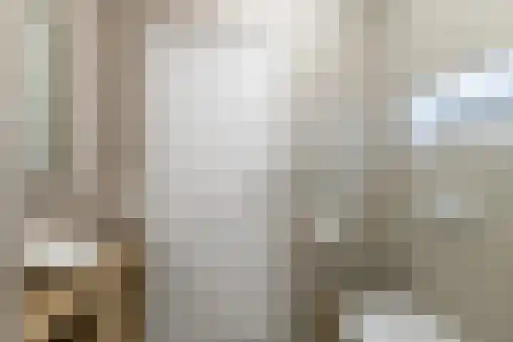 Marco Pololaan 345 Utrecht thumbnail 36