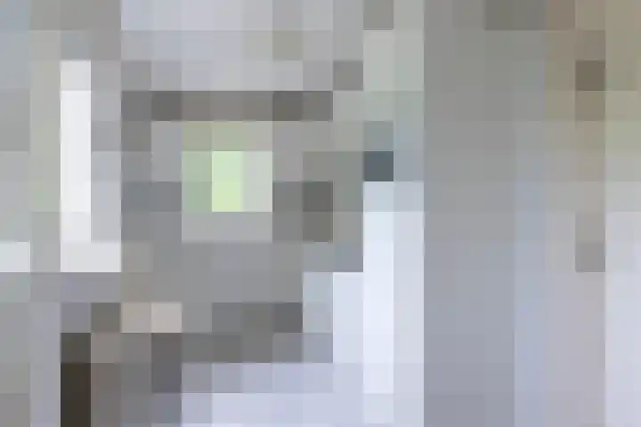 Marco Polorede 23 Zoetermeer thumbnail 13