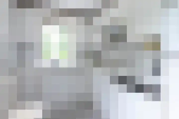 Marco Polorede 23 Zoetermeer thumbnail 14