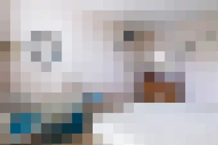 Marco Polorede 23 Zoetermeer thumbnail 18