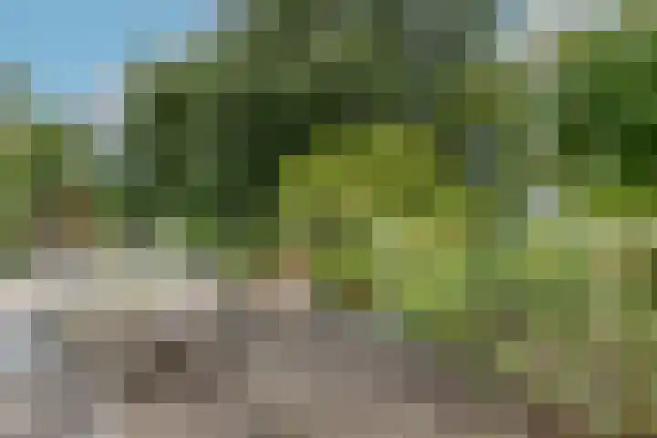 Marco Polorede 23 Zoetermeer thumbnail 24
