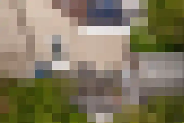 Marco Polorede 23 Zoetermeer thumbnail 26