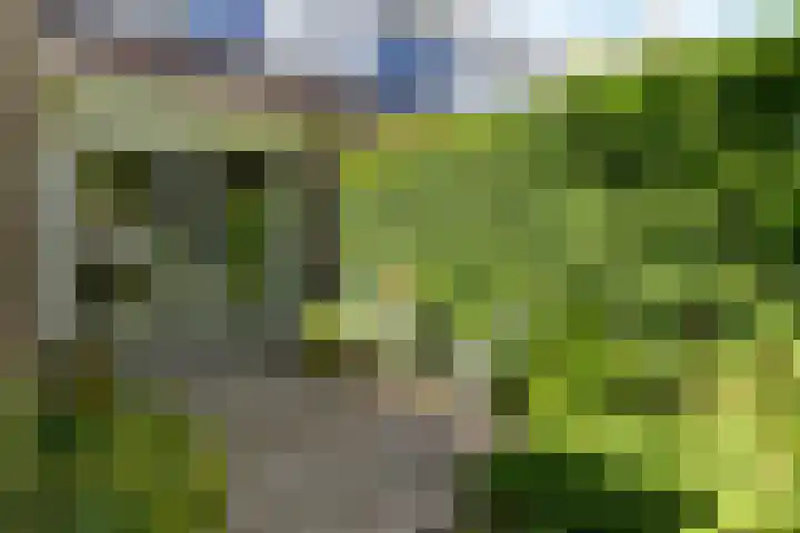 Marco Polorede 23 Zoetermeer thumbnail 29