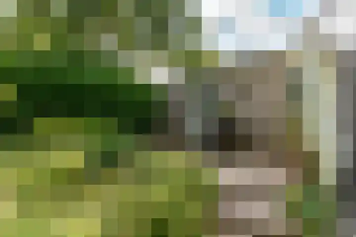 Marco Polorede 23 Zoetermeer thumbnail 30