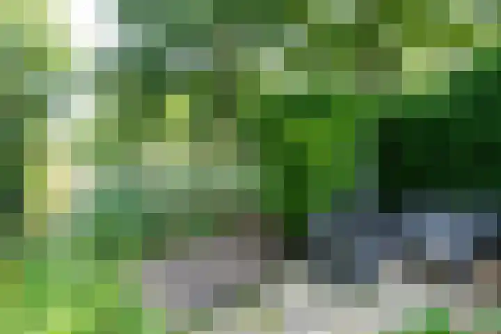 Marco Polorede 23 Zoetermeer thumbnail 31