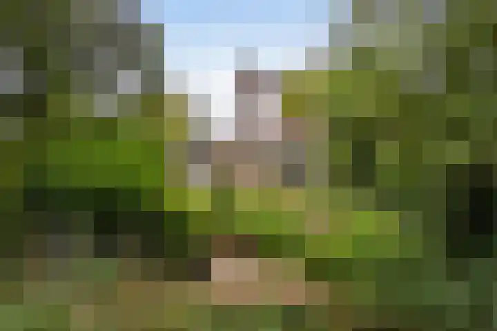 Marco Polorede 23 Zoetermeer thumbnail 32