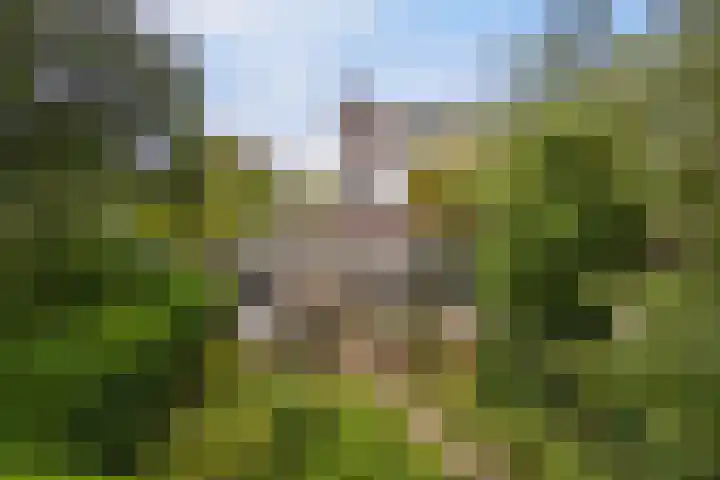Marco Polorede 23 Zoetermeer thumbnail 33