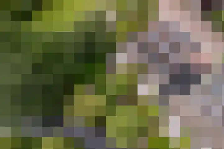 Marco Polorede 23 Zoetermeer thumbnail 36