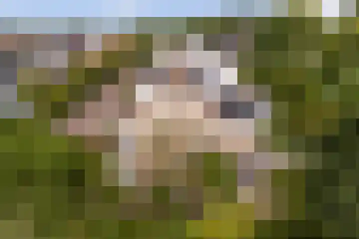 Marco Polorede 23 Zoetermeer thumbnail 37