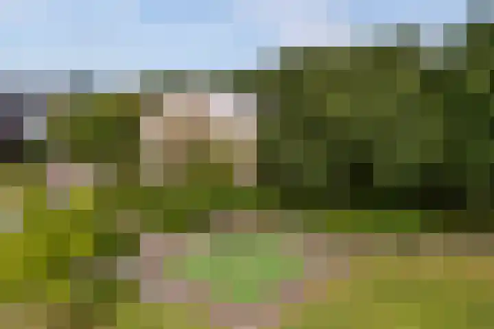 Marco Polorede 23 Zoetermeer thumbnail 38