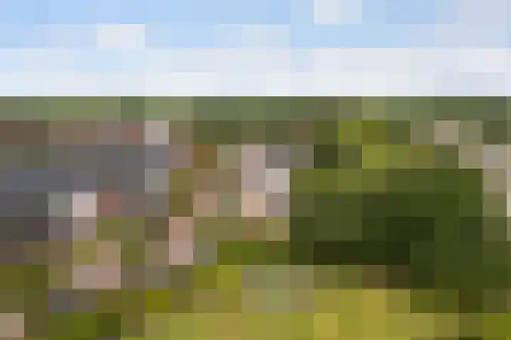 Marco Polorede 23 Zoetermeer thumbnail 39