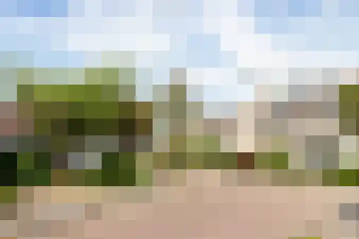 Marco Polorede 23 Zoetermeer thumbnail 4