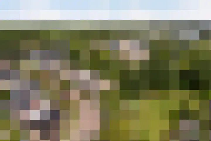 Marco Polorede 23 Zoetermeer thumbnail 40