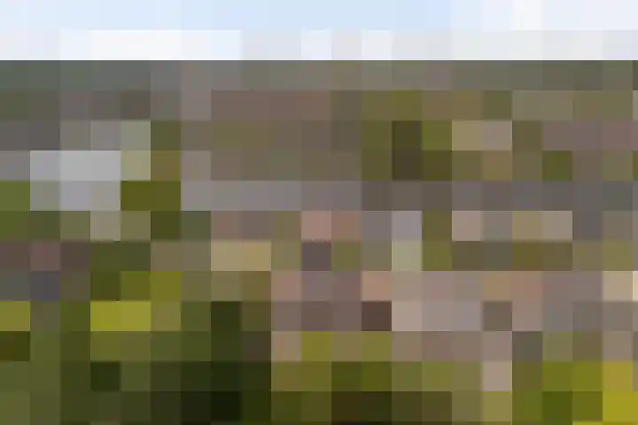 Marco Polorede 23 Zoetermeer thumbnail 41