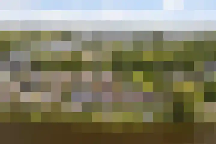 Marco Polorede 23 Zoetermeer thumbnail 42