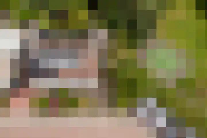 Marco Polorede 23 Zoetermeer thumbnail 44