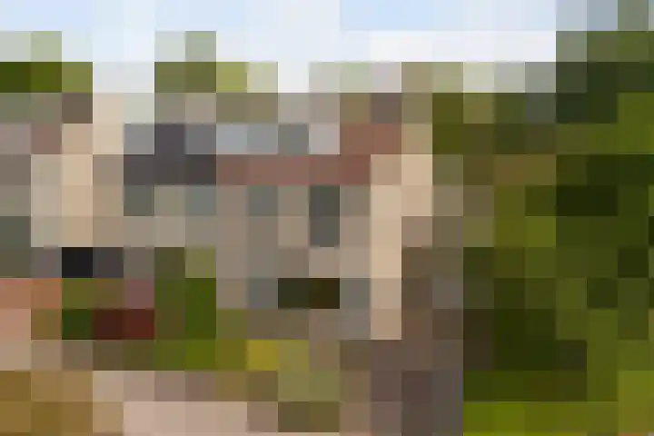 Marco Polorede 23 Zoetermeer thumbnail 46