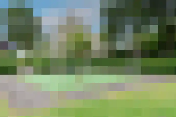 Marco Polorede 23 Zoetermeer thumbnail 48