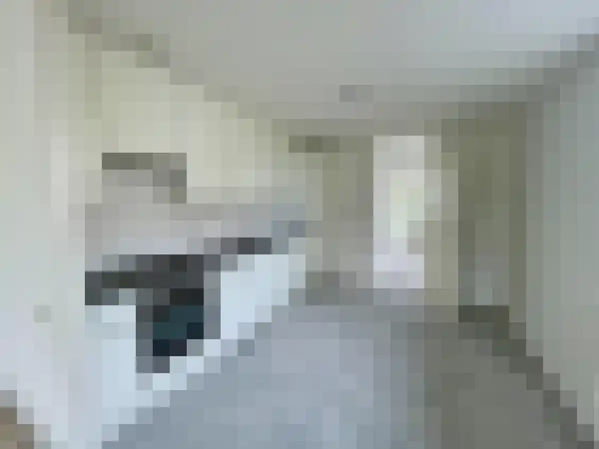 Marco Polorede 84 Zoetermeer thumbnail 5