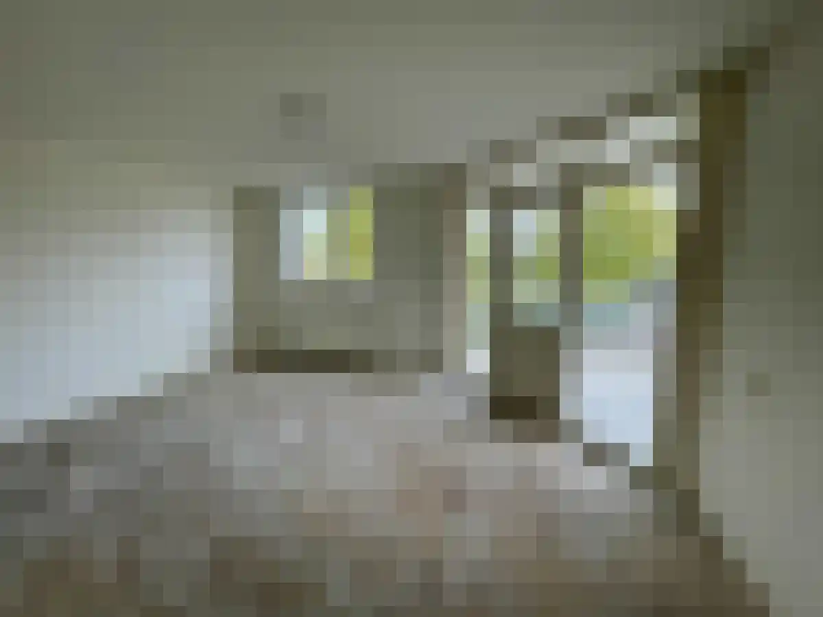 Marco Polorede 84 Zoetermeer thumbnail 6
