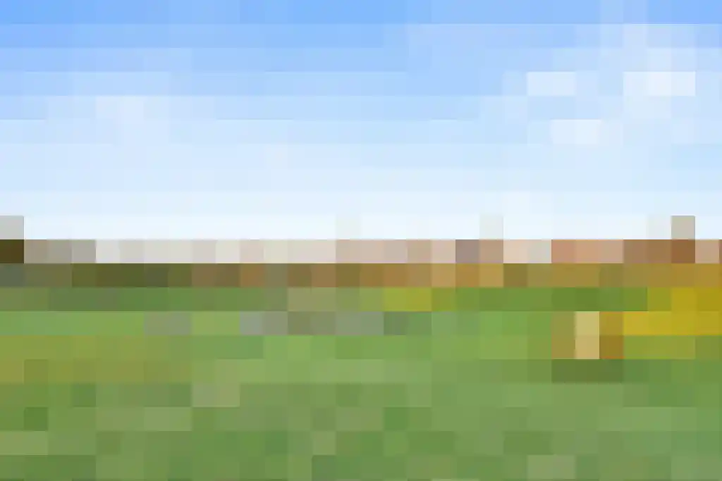 Marco Poloroute 13 Almere thumbnail 34