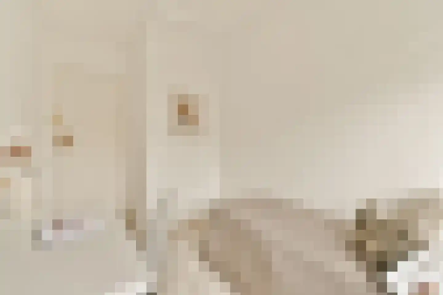 Marco Polostraat 251 3 Amsterdam thumbnail 19
