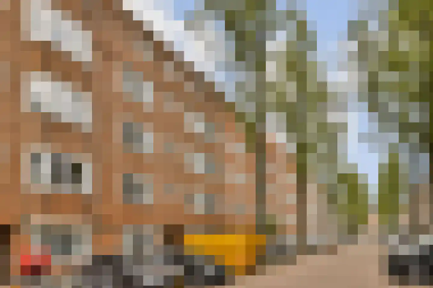 Marco Polostraat 255 1 Amsterdam thumbnail 18