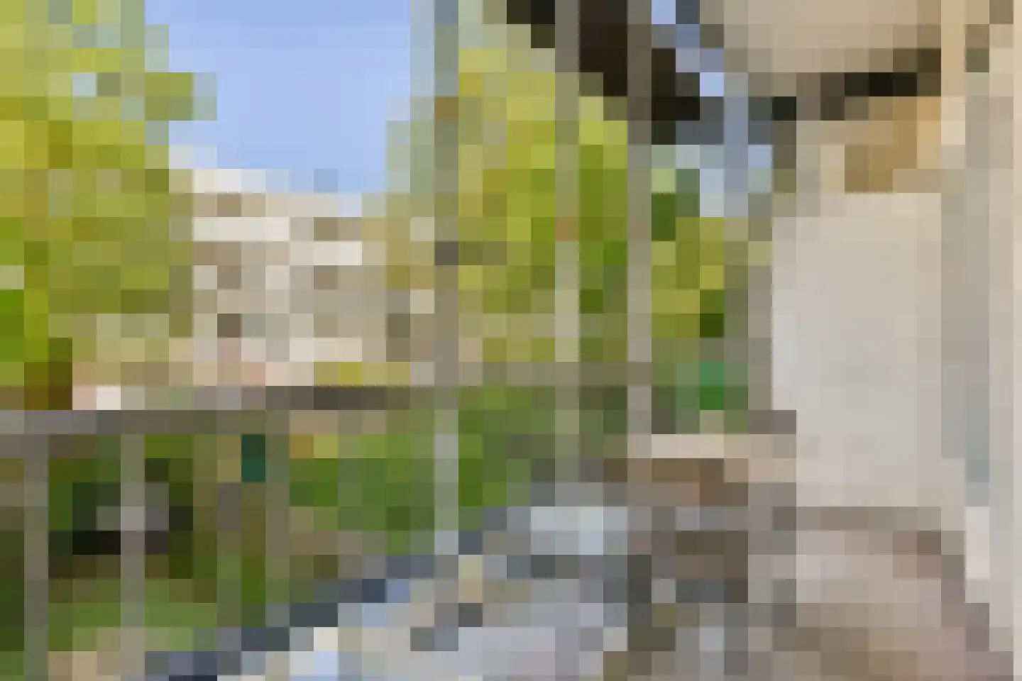 Marco Polostraat 255 2 Amsterdam thumbnail 11
