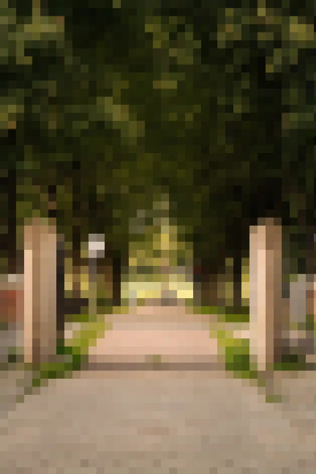 Marco Polostraat 274 3 Amsterdam thumbnail 46