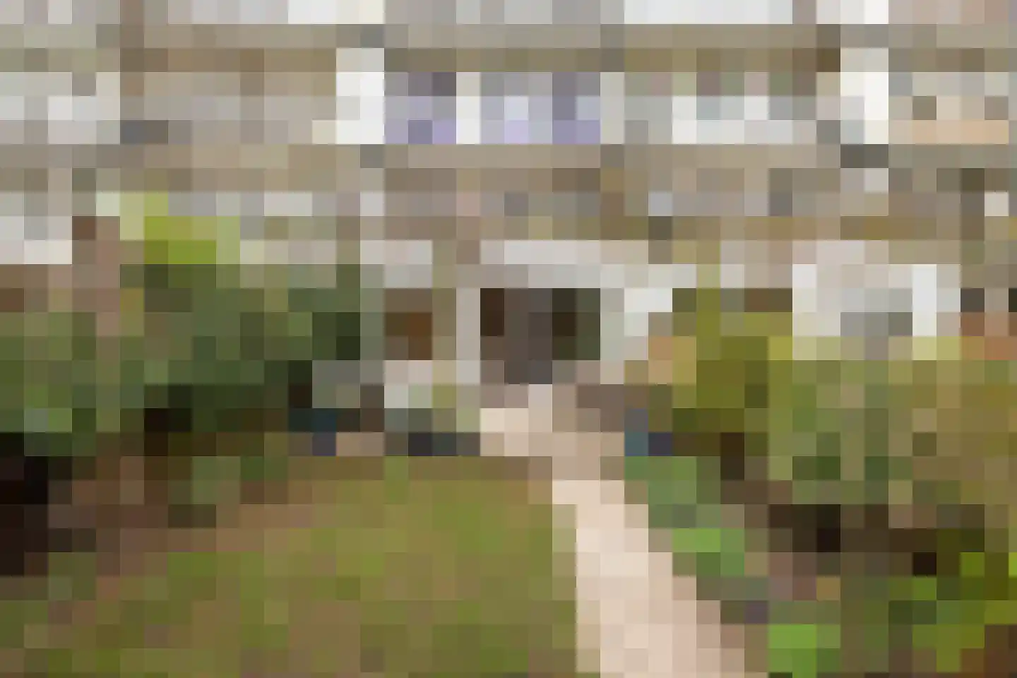 Marco Polostraat 281 1 Amsterdam thumbnail 23