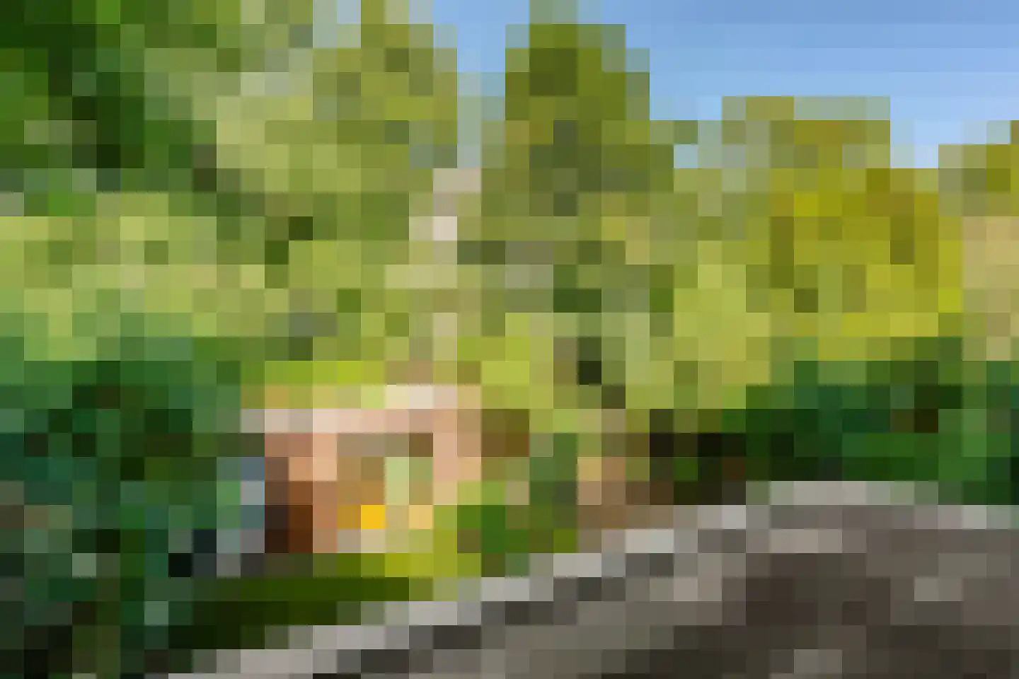 Marco Polostraat 39 1 Amsterdam thumbnail 14