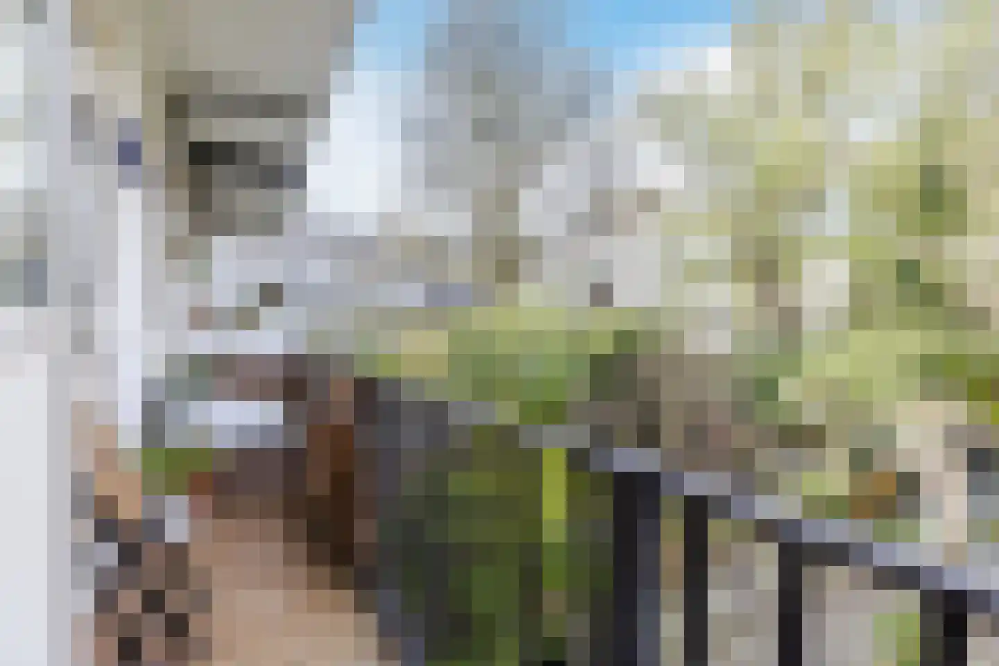 Marco Polostraat 41 1 Amsterdam thumbnail 4