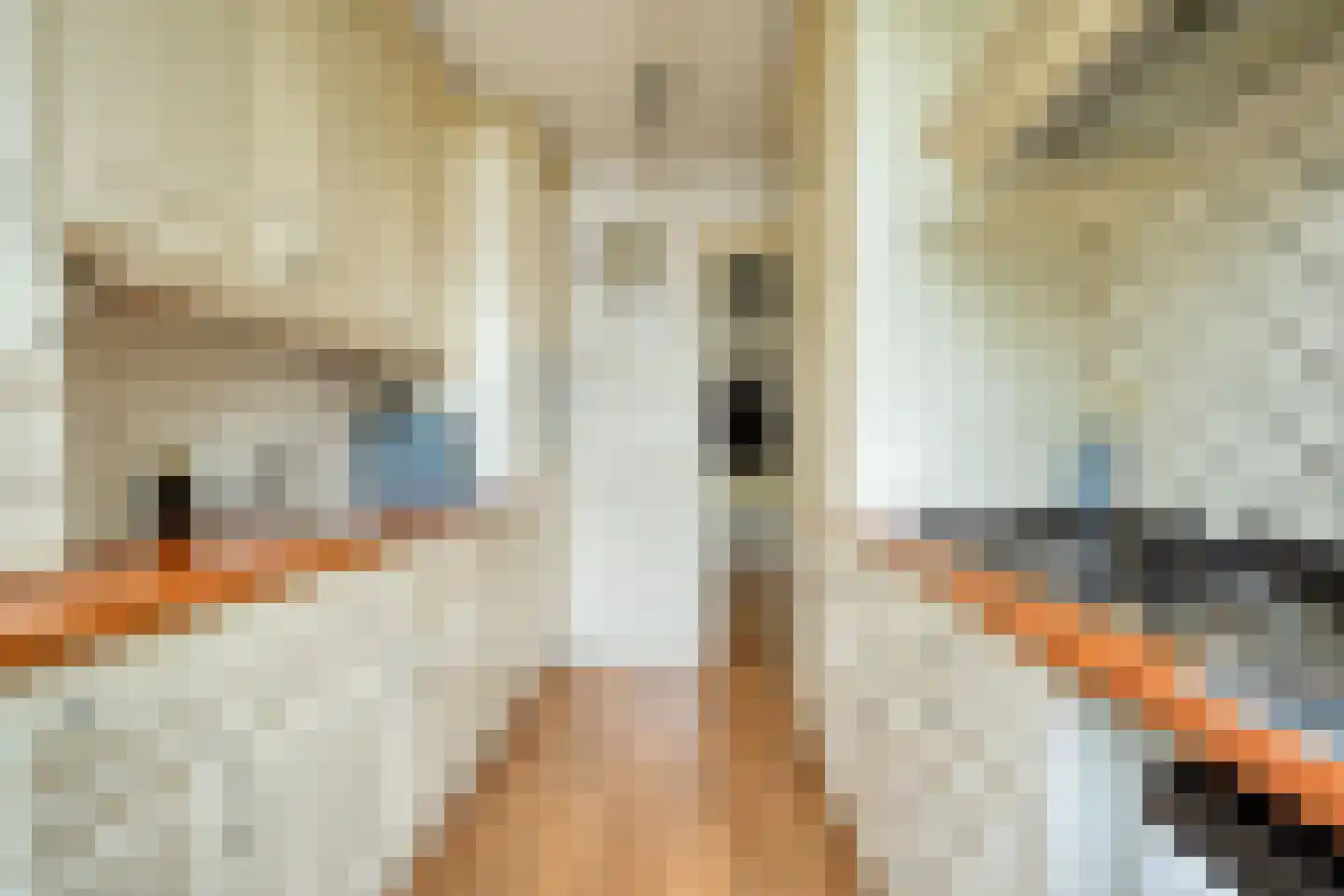 Marco Polostraat 72 2 Amsterdam thumbnail 17