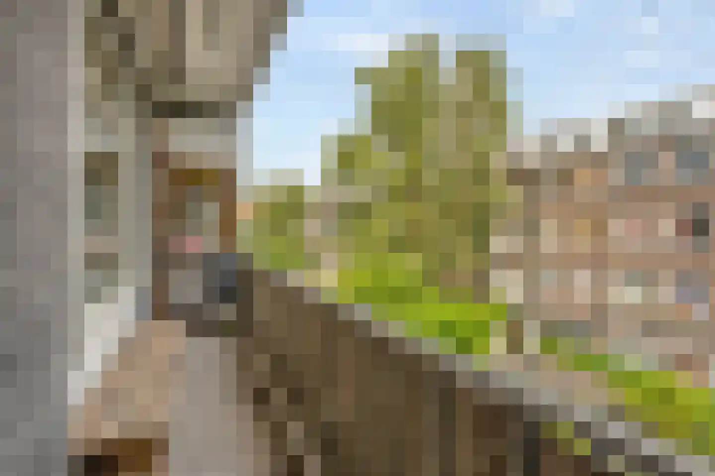Marco Polostraat 72 2 Amsterdam thumbnail 21