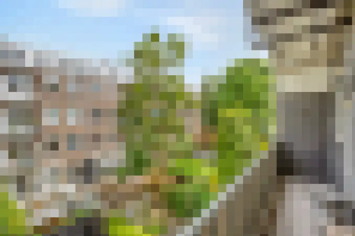Marco Polostraat 72 2 Amsterdam thumbnail 22