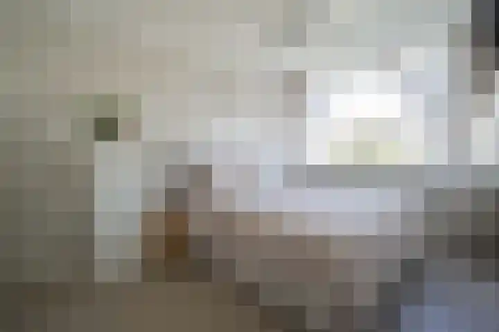 Marconihof 5 Beverwijk thumbnail 12
