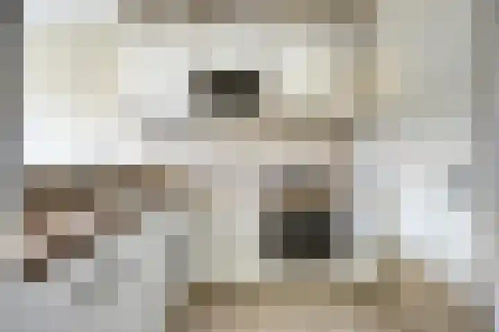 Marconilaan 32 F Eindhoven thumbnail 12