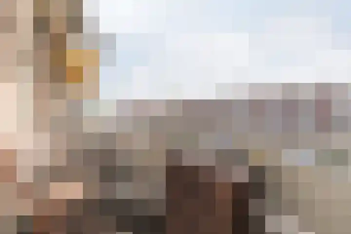 Marconilaan 32 G Eindhoven thumbnail 13