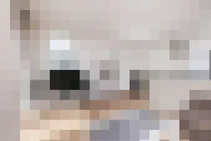 Marconilaan 32 G Eindhoven thumbnail 6