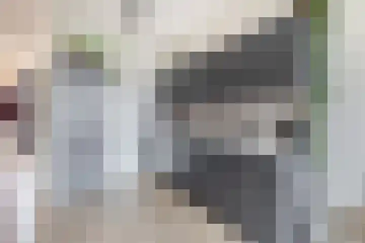 Marconilaan 32 H Eindhoven thumbnail 23