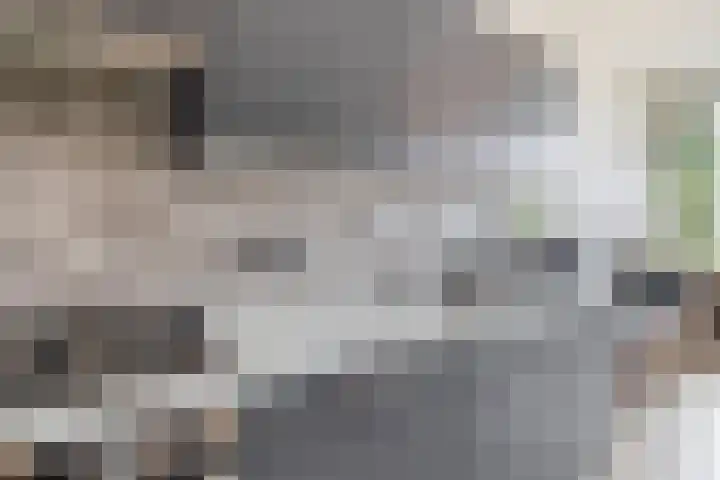Marconilaan 32 H Eindhoven thumbnail 25