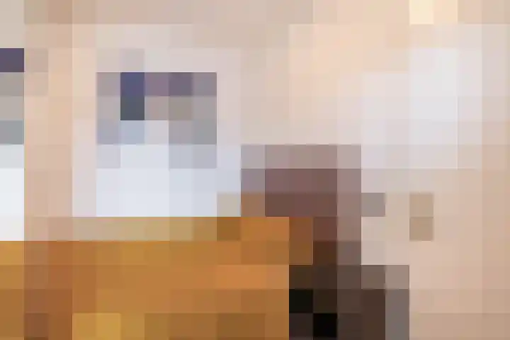 Marconilaan 32 H Eindhoven thumbnail 30