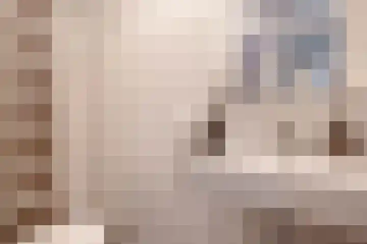 Marconilaan 32 H Eindhoven thumbnail 31